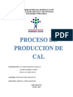 Proceso de La Cal