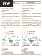 1- Revisao Prova de Cie 1 Bi 2019 Gabarito