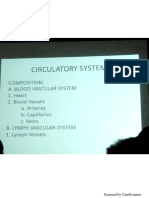 Circulatory Histo