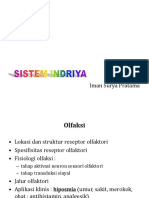 Sistem Indriya