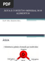 Água e Conteúdo Mineral Nos Alimentos