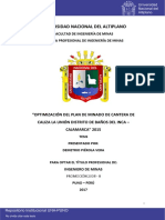 Piérola_Vera_Demetrio.pdf