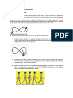 Determinantes y Variantes de La Marcha