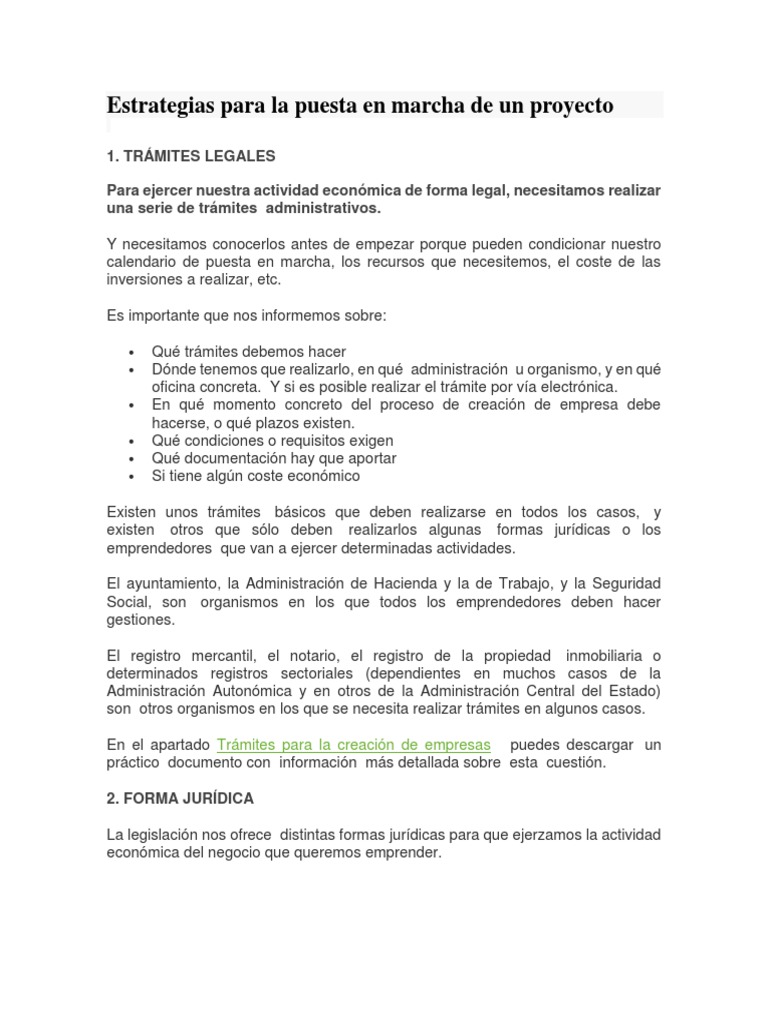 Estrategias para La Puesta en Marcha de Un Proyecto | PDF | Plan de ...
