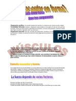 Preparación física: aeróbica, flexibilidad y músculos