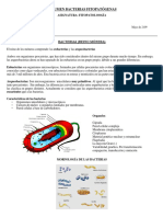 BACTERIAS FITOPATÓGENAS: CARACTERÍSTICAS Y PRINCIPALES GÉNEROS