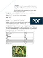 313078462-PAPAYA-PACAY-pdf.pdf