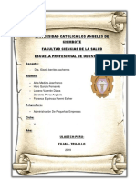 Adm. de Empresas - IF PDF