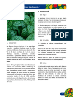 ficha albahaca.pdf