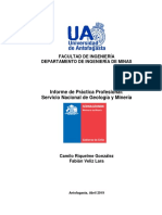 Informe Practica Profesional