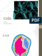 Cells