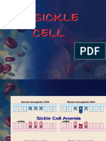 6 Sickle Cells