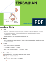 1 Sistem Perkemihan