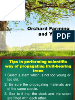 Orchard Farming and You Part 4
