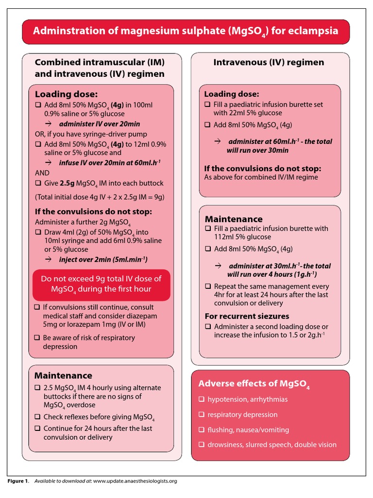 Management of Severe Pre Eclampsia and Eclampsia Update 2009 PDF | PDF ...