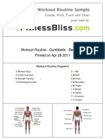 workout-routine_dumbbells_beginners.pdf