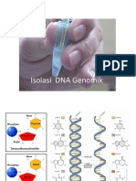 Isolasi DNA 2018
