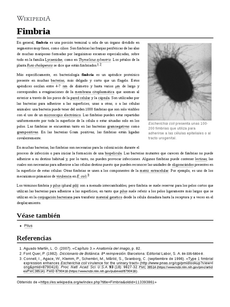 Fimbria Bacteria | PDF | Procariota | Microscopía