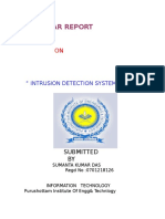 Seminar Report: " Intrusion Detection System