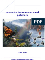 Guidance For Monomers and Polymers: June 2007