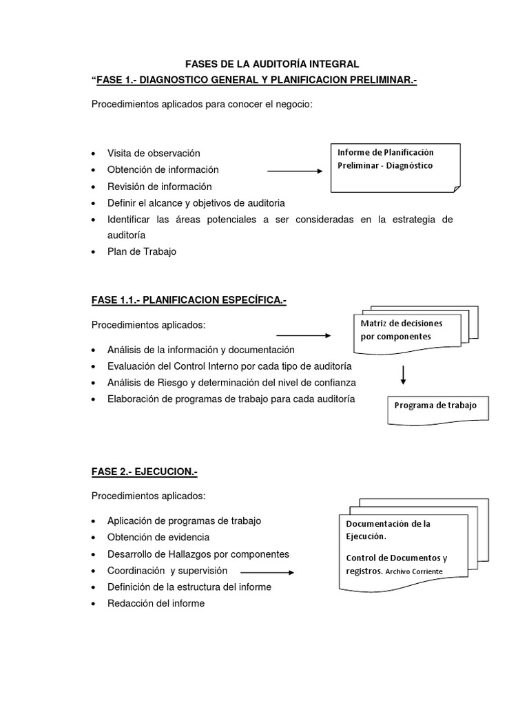 Fases de La Auditoria PDF | PDF | Planificación | Auditoría