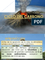 Ciclo Del Carbono