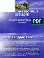 Promoting Biofuels: in Europe