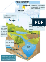 CICLO BIOLOGICO