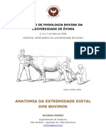 Anatomia Podal Bovina RR 2006 PDF