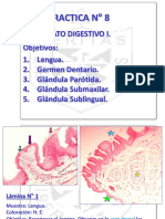 Practica 8 Dig I, II, III Dra. Rakel