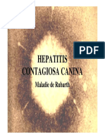 Hepatitis contagiosa canina.pdf