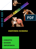 Anatomia Humana (1)