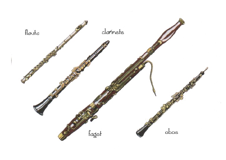 Flauta Clarinete Fagot Oboe PDF