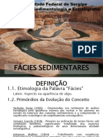 Facies Sedimentares