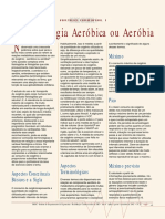 Terminologia Aerobica Ou Aeróbia PDF