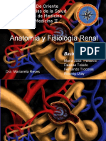Anatoma y Fisiologa Renal Definitivo