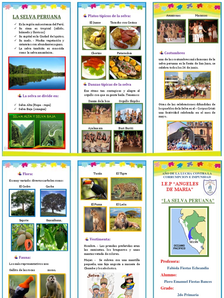 Costumbres de la Selva Peruana para Niños | PDF | Selva | Perú