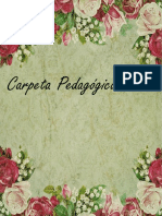 carpeta pedagogica 2019