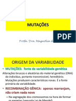 Mutação Mag2012.PDF