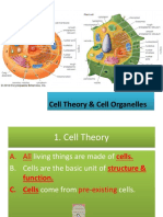 Elizondo Cell Theory and Cell Organelles-Updated