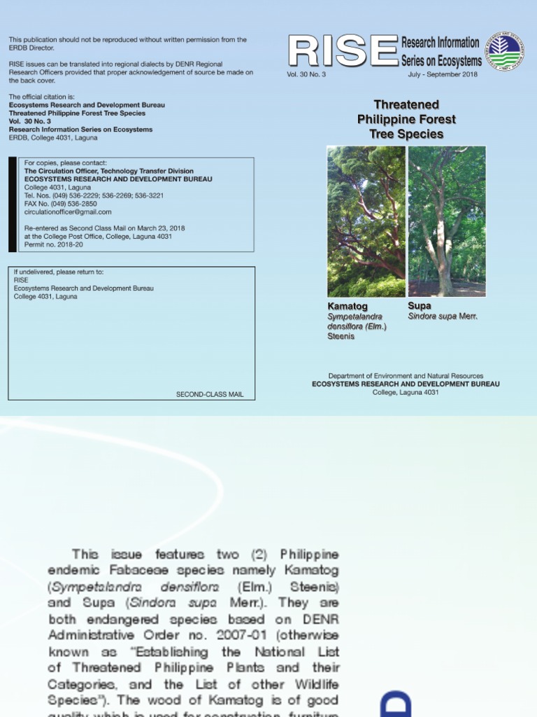 Endangered Philippine Trees: Kamatog & Supa | PDF | Endangered Species ...