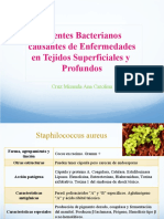 Enfermedades Bacterianas de La Piel