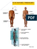 Tema 1 (Imagenes) Concepto de Anatomia. Terminologia. Planos y Ejes.