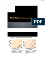 Multi Step Tumorigenesis 14 PDF