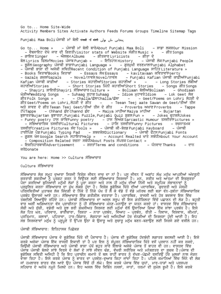 Punjabi Culture in Punjabi | PDF