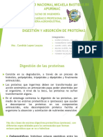 EXPO.pdf