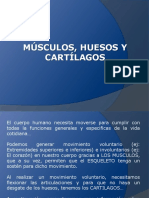 Musculos, Huesos y Cartílagos