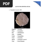 Foram Besar