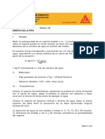 IE073 Ensayo de la Pipa.pdf