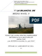 Raport la BM II _ APM.pdf